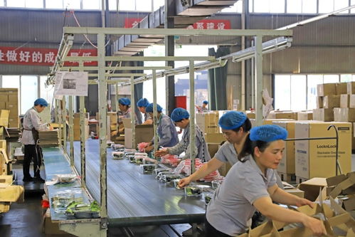 近九成專精特新企業(yè)制定國際化計(jì)劃