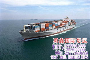 國際快遞電話 義烏至墨西哥國際快遞 勇鑫國際貨運(yùn)領(lǐng)軍者