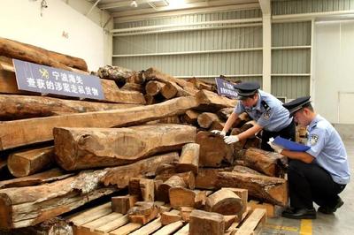 夜讀海關(guān) | 海關(guān)14日開展打擊&ldquo;洋垃圾&rdquo;走私專項(xiàng)行動(dòng);跨境郵寄月餅有講究