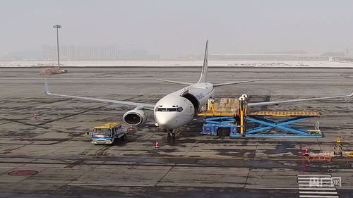 新疆國際貨運(yùn)包機(jī)業(yè)務(wù)全面恢復(fù)，為國際物流注入新動能