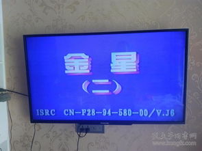 模數之間 從影像唱機到通訊音像視域的聲音儲存文化遷移